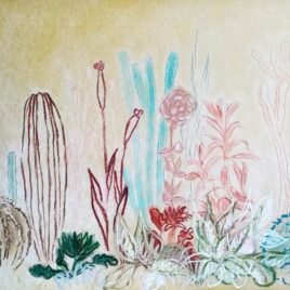 Elche - Jardins méditerranéens. Corinne Penin